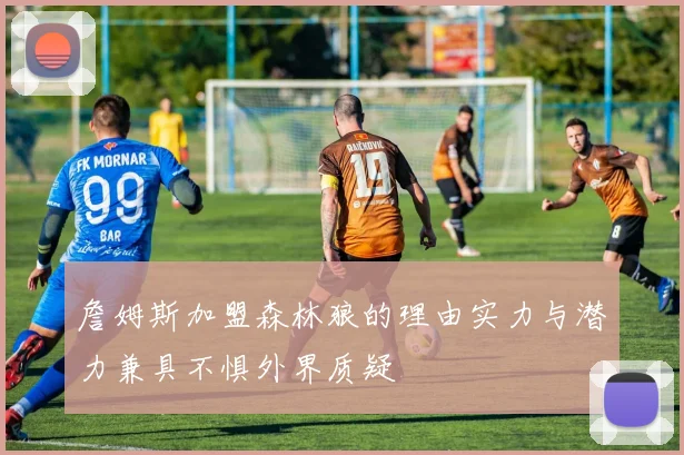 詹姆斯加盟森林狼的理由实力与潜力兼具不惧外界质疑