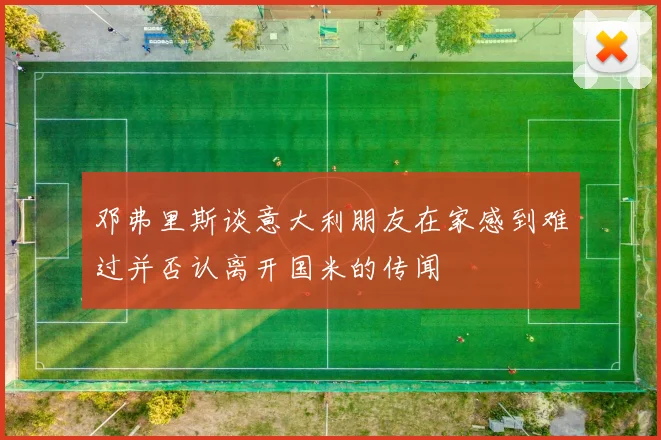 邓弗里斯谈意大利朋友在家感到难过并否认离开国米的传闻